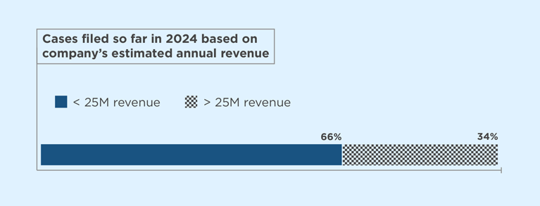 Bar graphs comparing the revenue of companies who have received ADA lawsuits so far in 2024. Through June 2024, 66% of lawsuits are under 25M in revenue and 34% are greater than 25M in revenue.