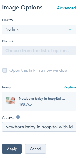 A screenshot of the Alt-Text used for the newborn baby picture
