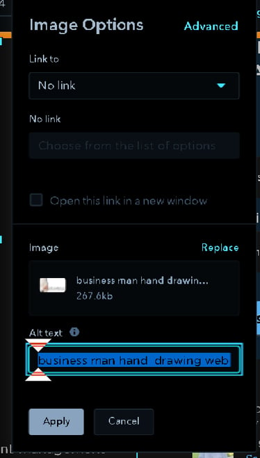 Alt-Text: A screenshot of Hubspot's image editing options including a field for alt text