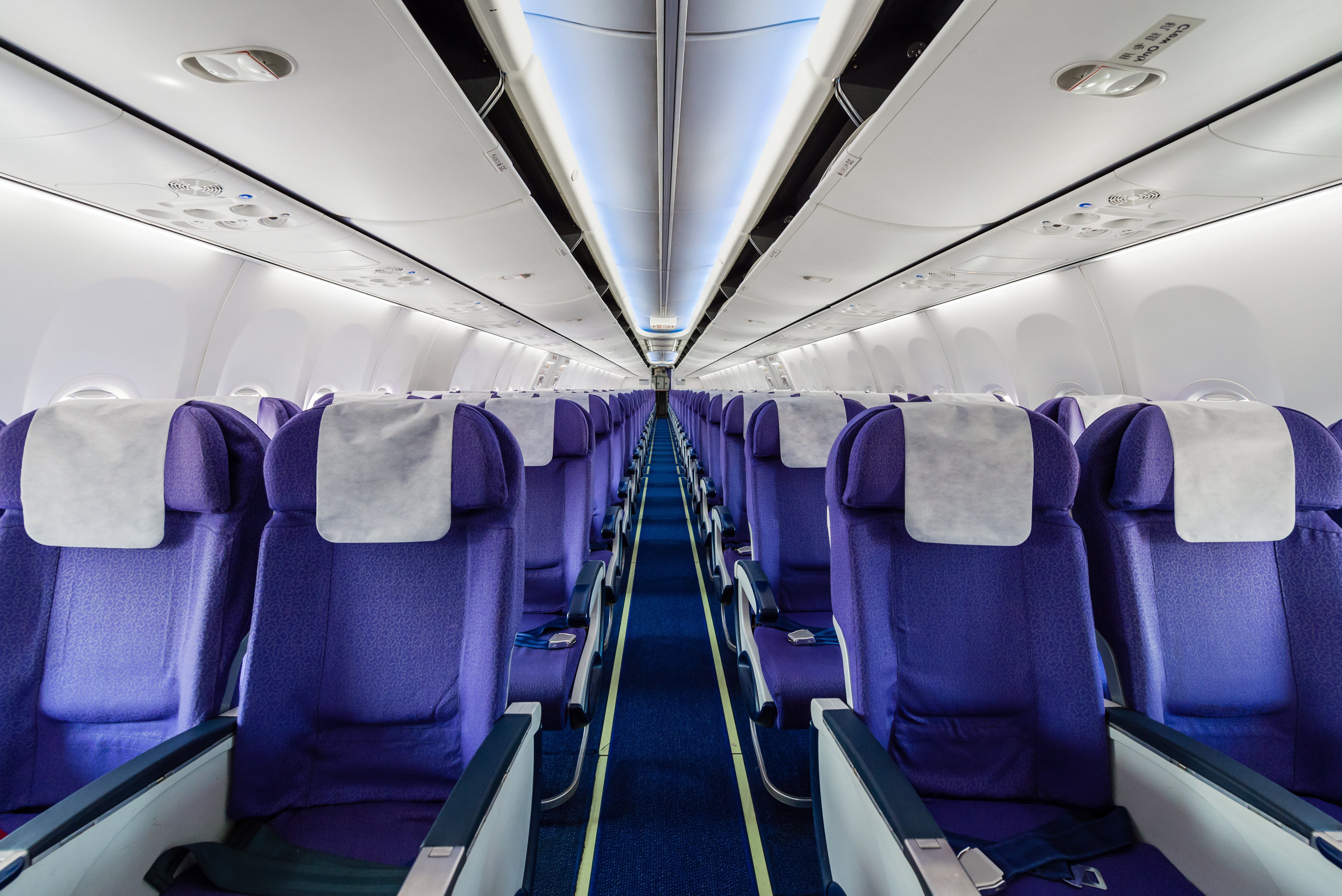 Purple Seats on an unknown Airline