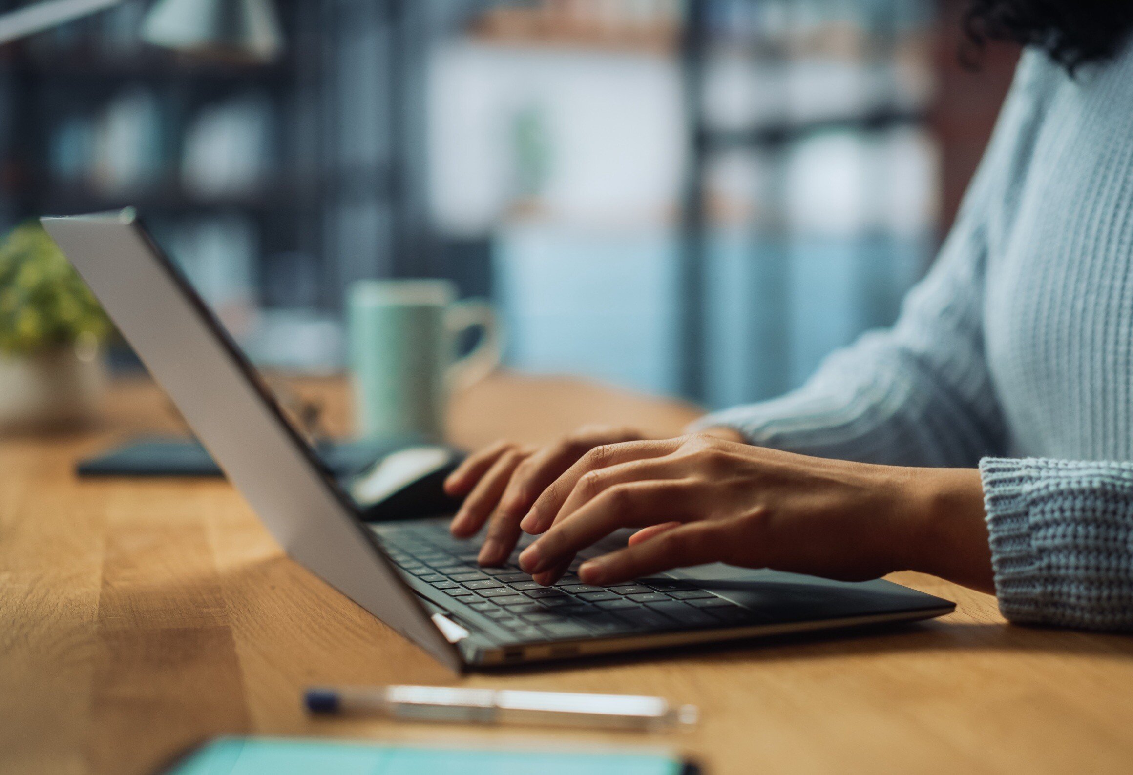 person using the web on a computer