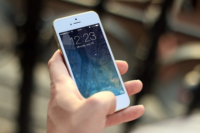 Using a Resort's Mobile App as a Blind Guest: Barriers Beyond the Basics